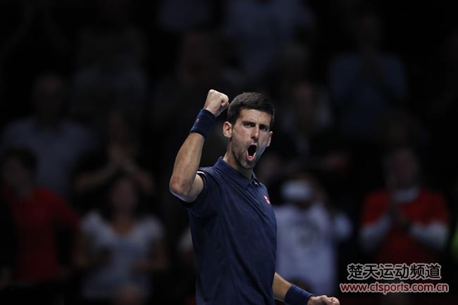 2016年ATP大师赛年终总决赛小组赛德约vs蒂姆第二盘视频