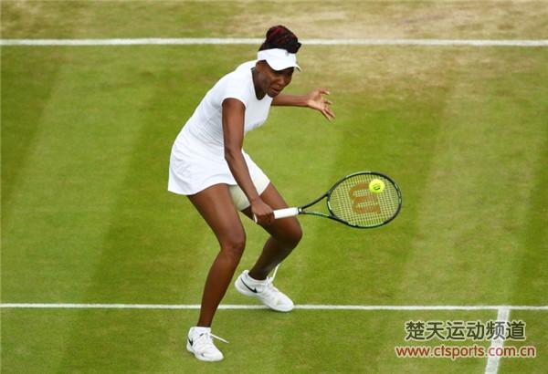 2016温网公开赛女单1/4决赛大威廉姆斯VS舍夫多娃比赛视频