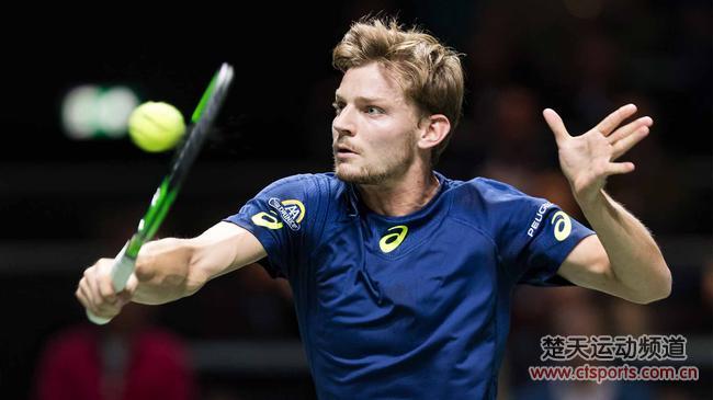 2017鹿特丹公开赛男单1/4决赛比赛视频：迪米特洛夫vs戈芬
